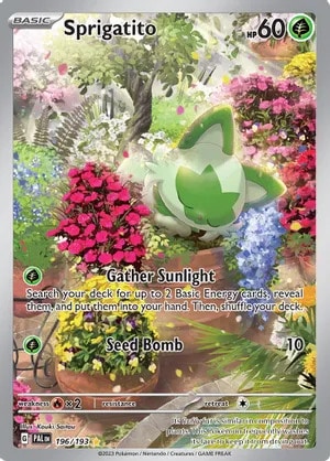Sprigatito Pokemon card from Paldea Evolved
