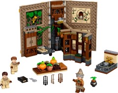 LEGO Harry Potter Hogwarts Moment Herbology Class set 76384