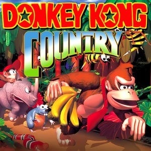 Donkey Kong Country game for the Super Nintendo SNES