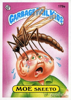Moe Skeeto Garbage Pail Kids sticker card 179a