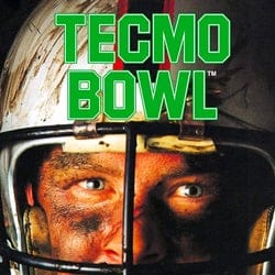 Tecmo Bowl NES game cartridge