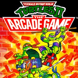 Teenage Mutant Ninja Turtles II: The Arcade Game for the Nintendo NES